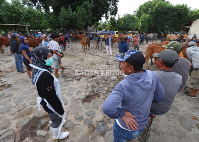 SOSIALISASI: Plt Kepala DKPP Kabupaten Kediri drh Tutik Purwaningsih (kiri) berbincang dengan para pedagang di Pasar Hewan Tertek Pare kemarin. Mulai hari ini Pemkab Kediri menutup sementara aktivitas