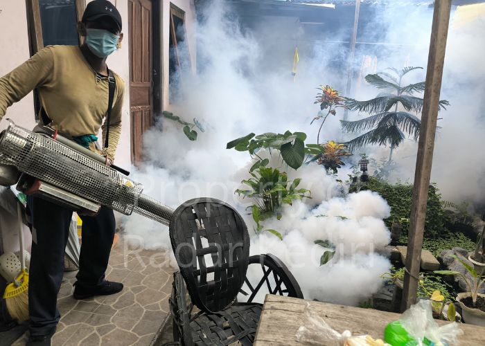 CEGAH CHIKUNGUNYA: Petugas fogging melakukan pengasapan di rumah warga.