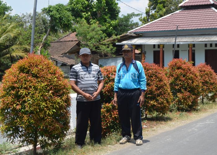 Pemdes Ngreco melakukan penanaman bunga pucuk merah