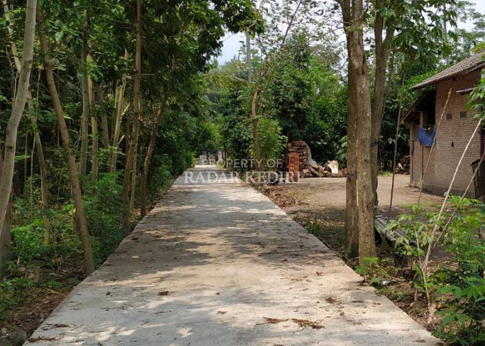 UNTUK WARGA: Jalan rabat beton di Dusun Semanding, Desa Gondang menjadi salah satu akses tumpuan masyarakat.