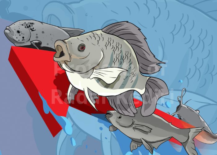 ILUSTRASI IKAN AIr TAWAR: Permintaan di sentra perikanan Desa Canggu, Badas mengalami lonjakan.