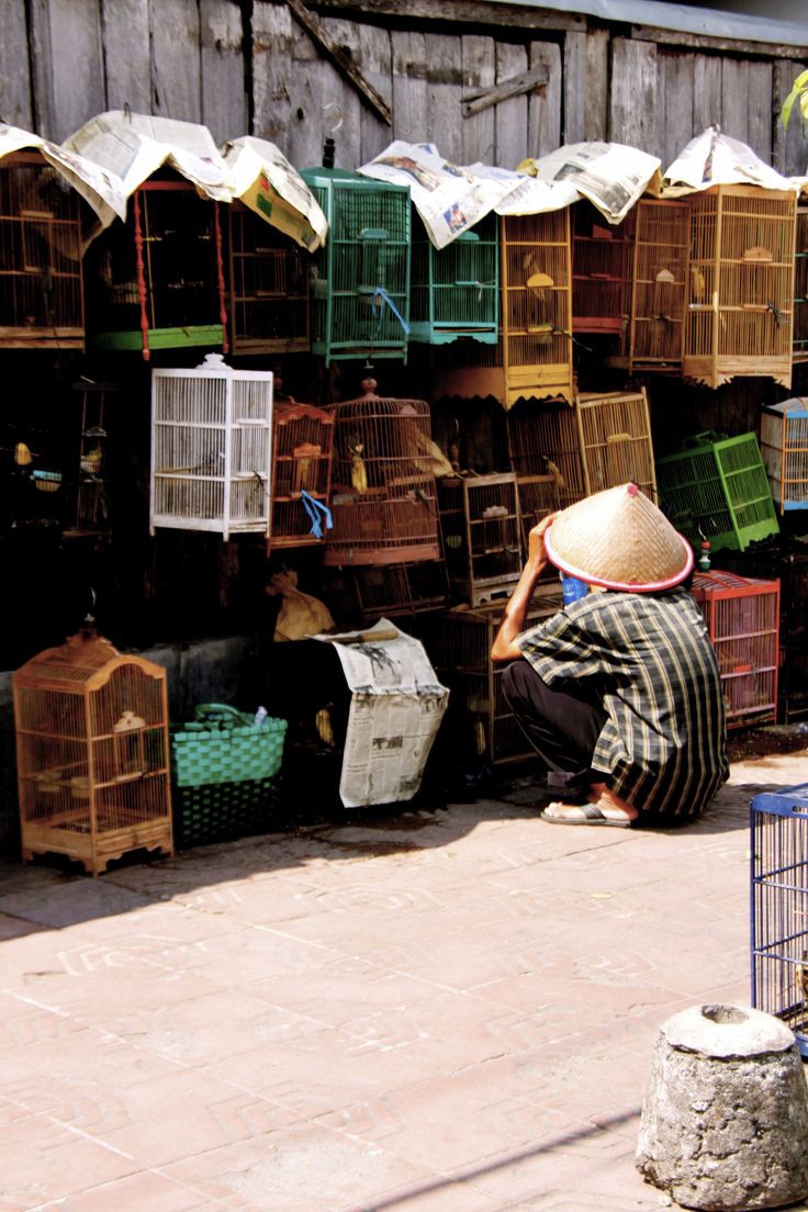 Pasar burung di Jogjakarta.