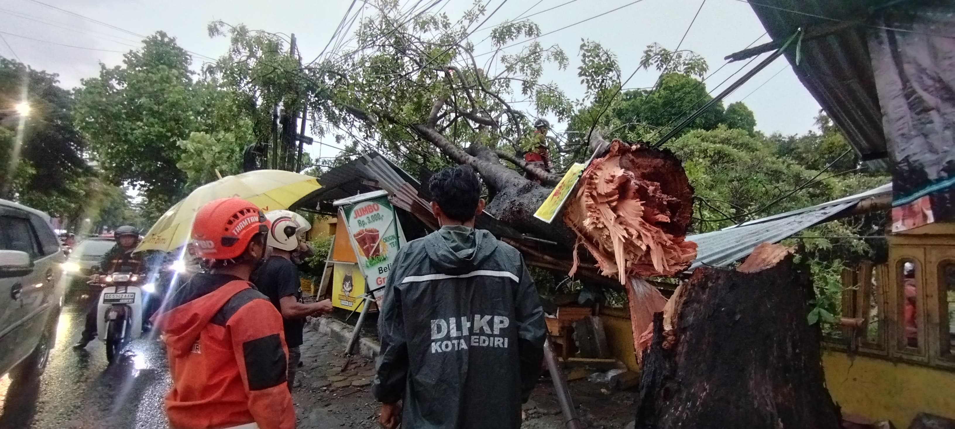 TUMBANG: Petugas BPBD Kota Kediri saat melakukan pembersihan pohon yang menimpa lapak jualan milik pedagang di Jalan Wachid Hasyim Bandarlor, Kota Kediri.