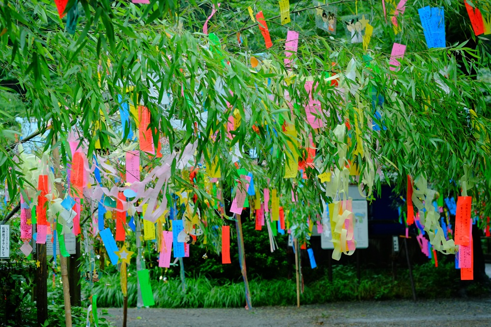 Hiasan bambu khas tanabata