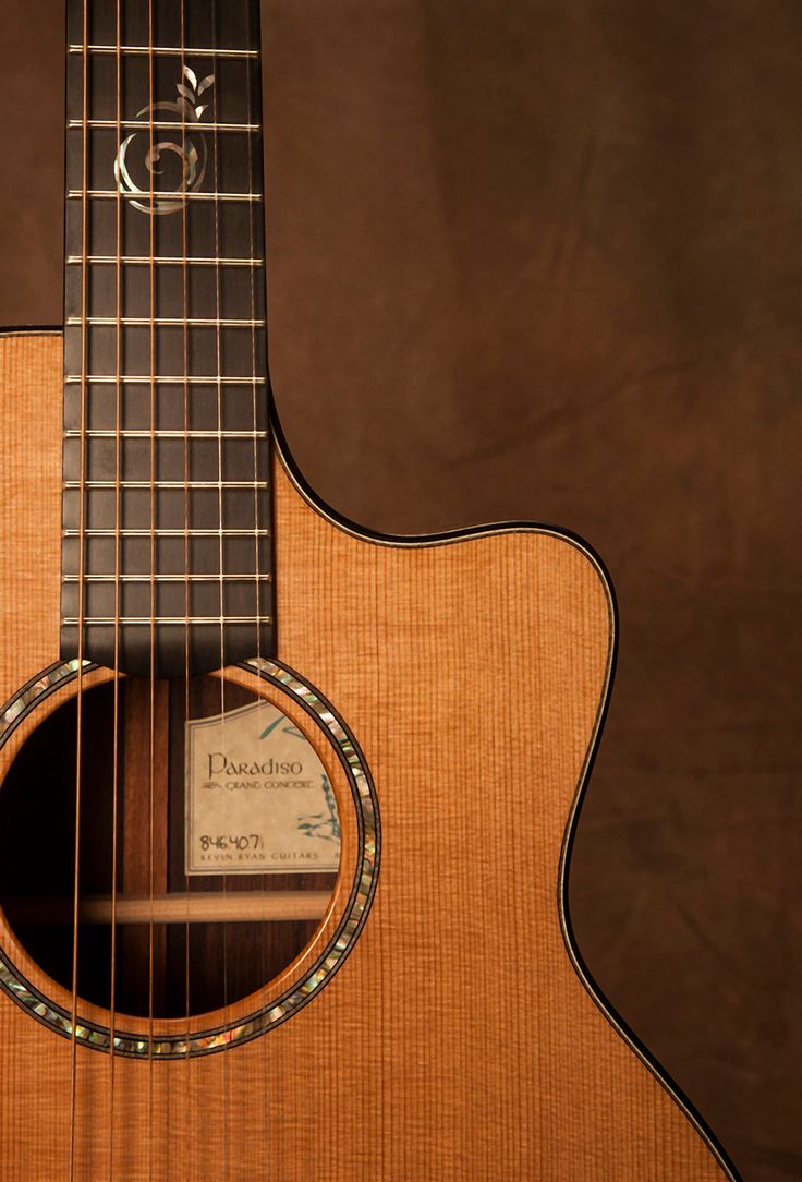 Zoom neck gitar.