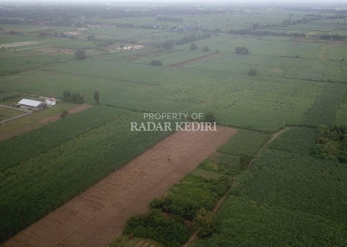 Sebagian lahan yang akan dibebaskan untuk proyek tol Kediri-Kertosono yang ada di Desa Maron, Kecamatan Banyakan.