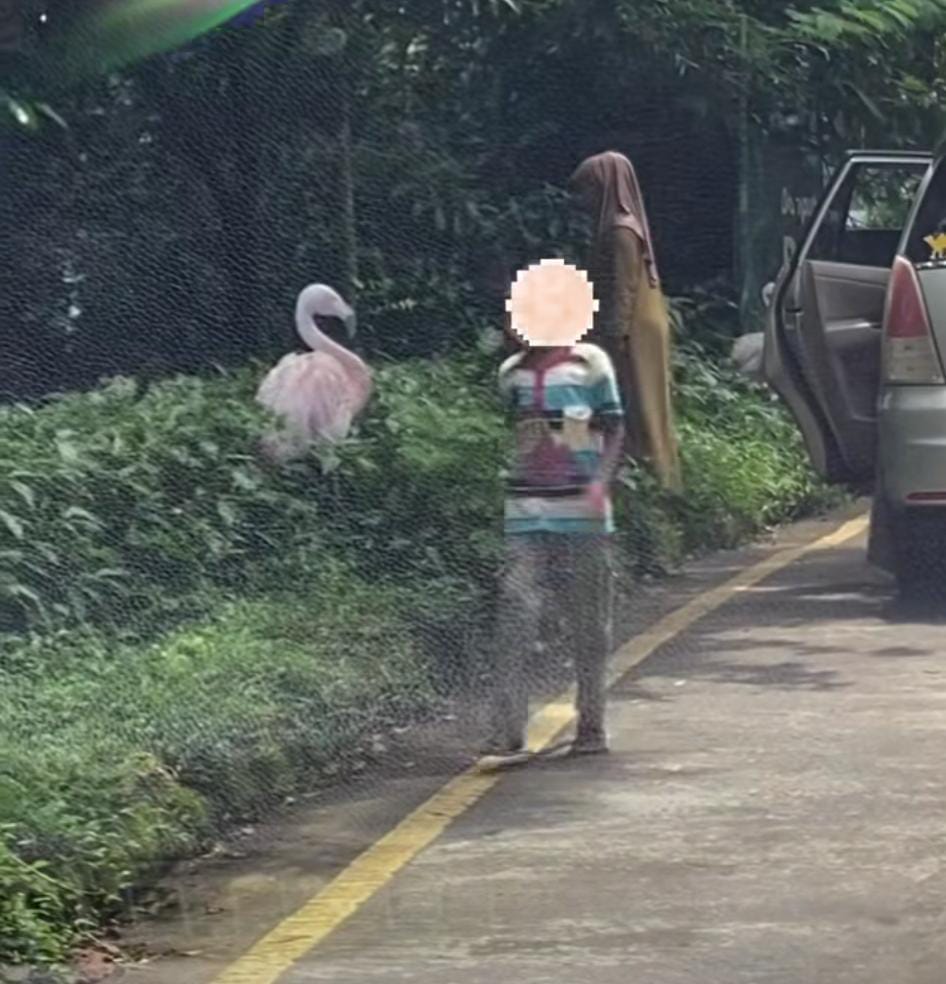 Pengunjung keluar mobil di taman safari Indonesia