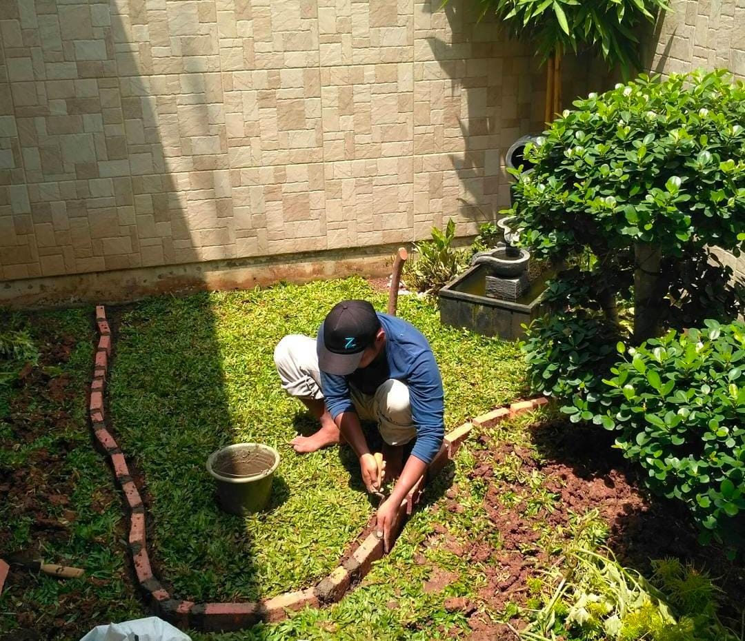 Penggunaan rumput taman untuk memperindah taman di halaman rumah.