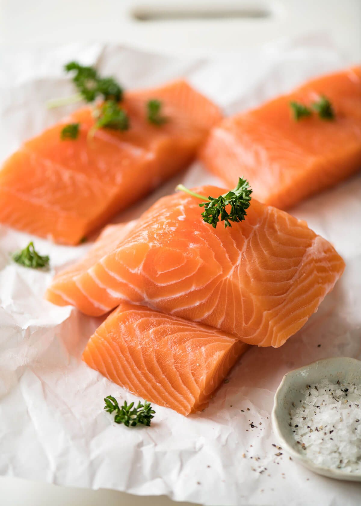 Ilustrasi Ikan Salmon