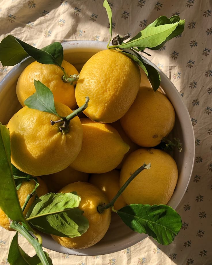 Buah Lemon