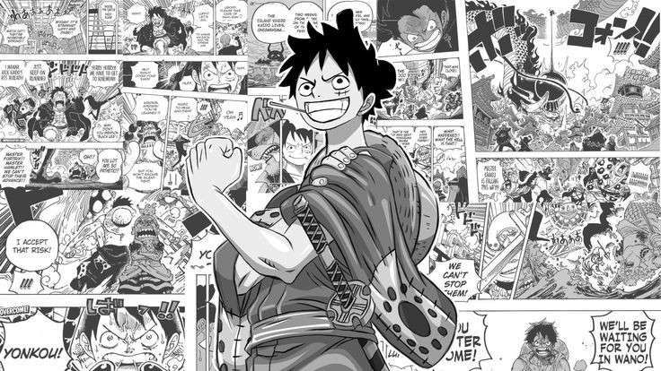 salah satu panel manga one piece