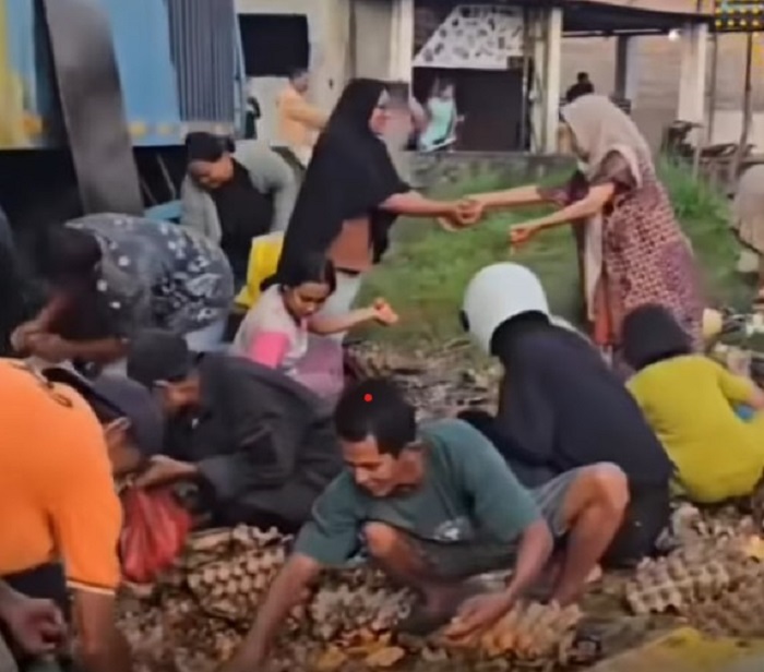 Pikap Muat Telur Alami Kecelakaan di Sumatera Utara, Warga Malah Menjarah Telurnya