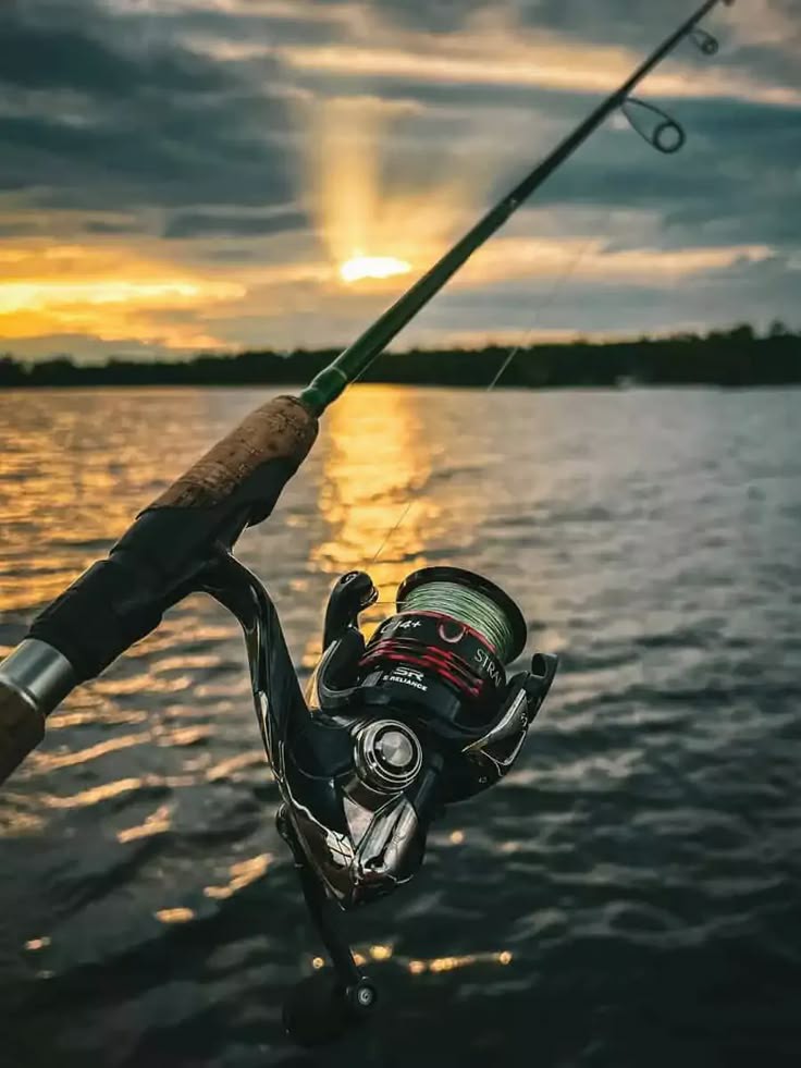 Ilustrasi Memancing