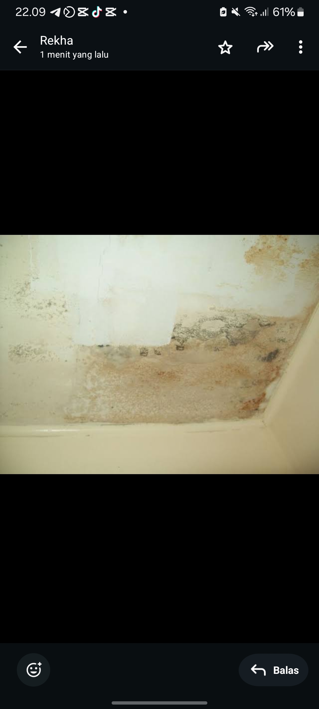 Ilustrasi black mold sering muncul di plafon dan tempat lembab.