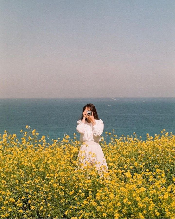 Aesthetic Pictures