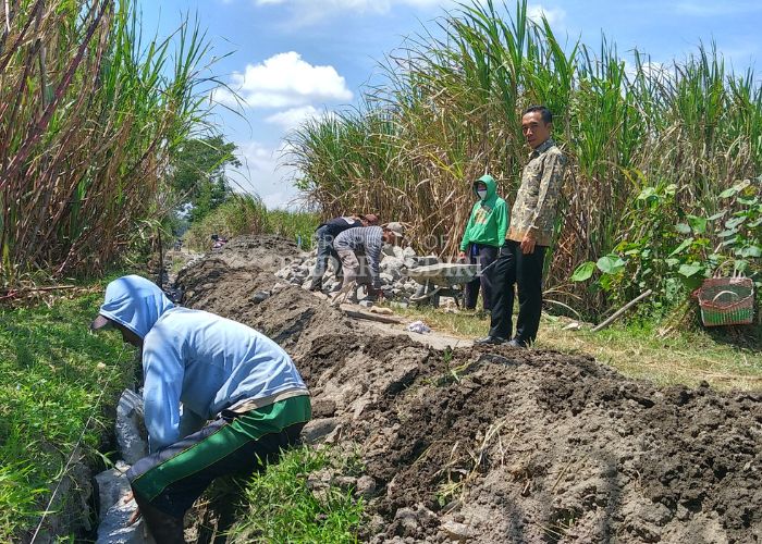 Pemdes terus menggenjot pembangunan fisik di sektor pertanian.