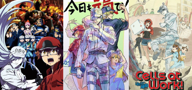 Anime