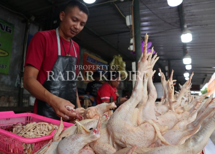 ANJLOK: Pedagang ayam di Pasar Setonobetek menunggu pembeli di lapaknya.