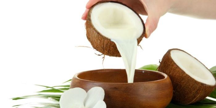 Santan Kelapa