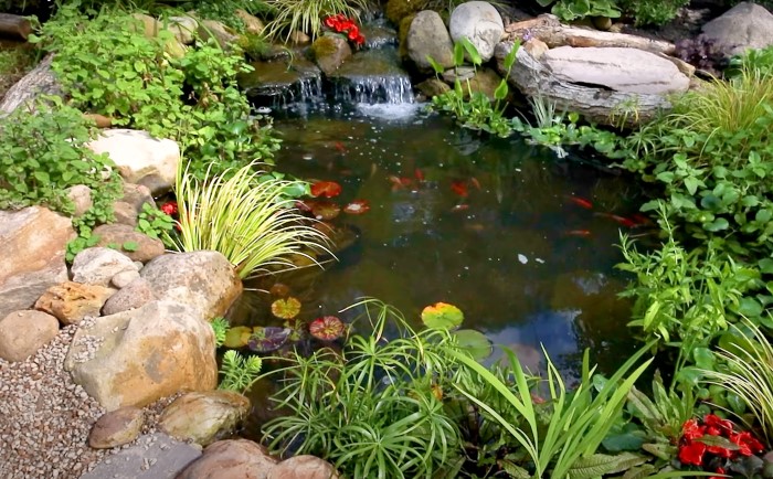 Kolam Ikan Outdor