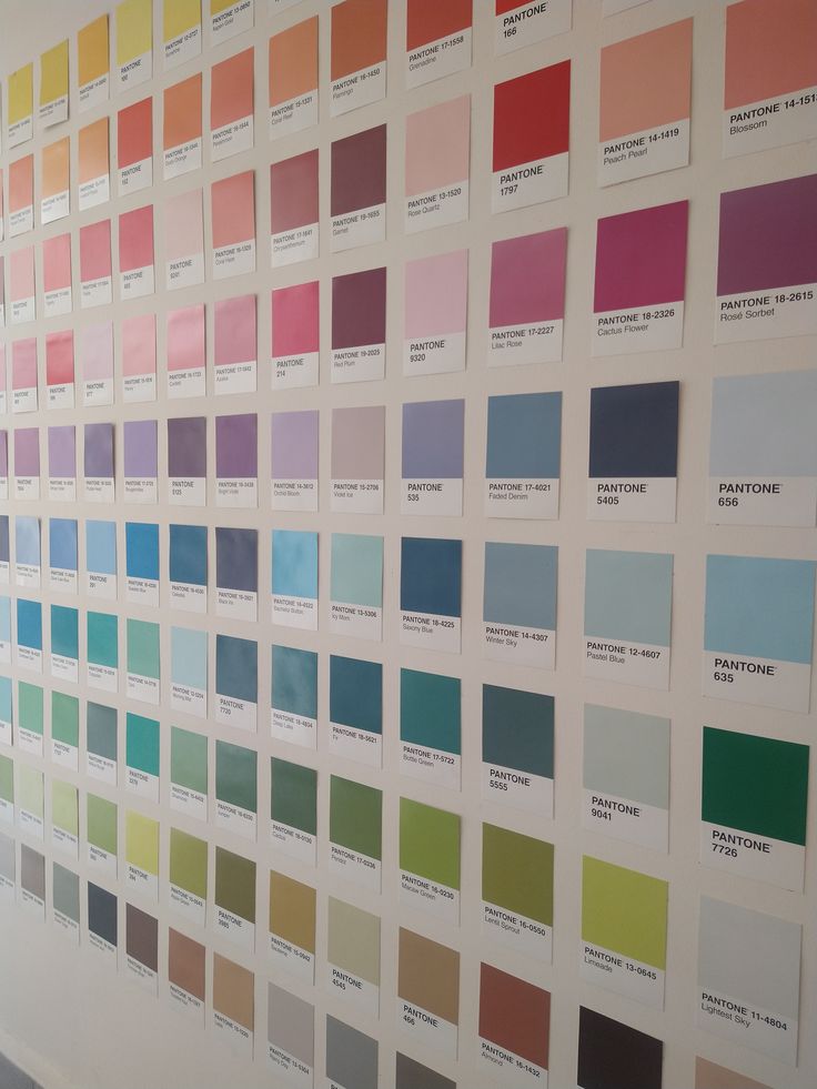Contoh warna tembok untuk Lebaran.