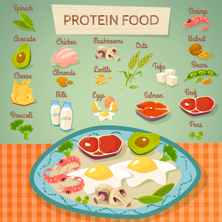 Bahan makanan yang mengandung sumber protein yang dapat dikonsumsi untuk mencegah stunting  (Sumber : freepik.com)