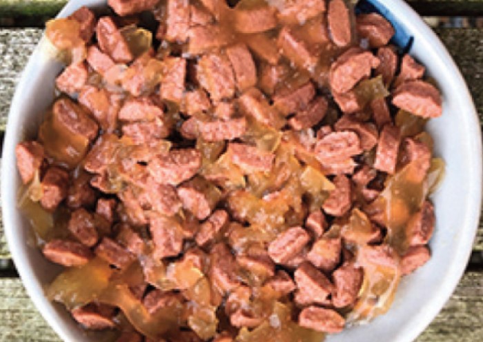 Pakan basah unuk kucing, nutrisi bisa dikontrol dengan baik