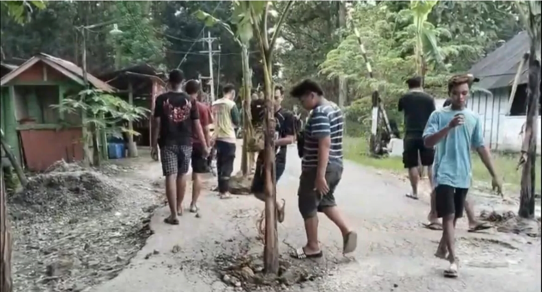 Warga protes jalan rusak dengan menanam pisang.