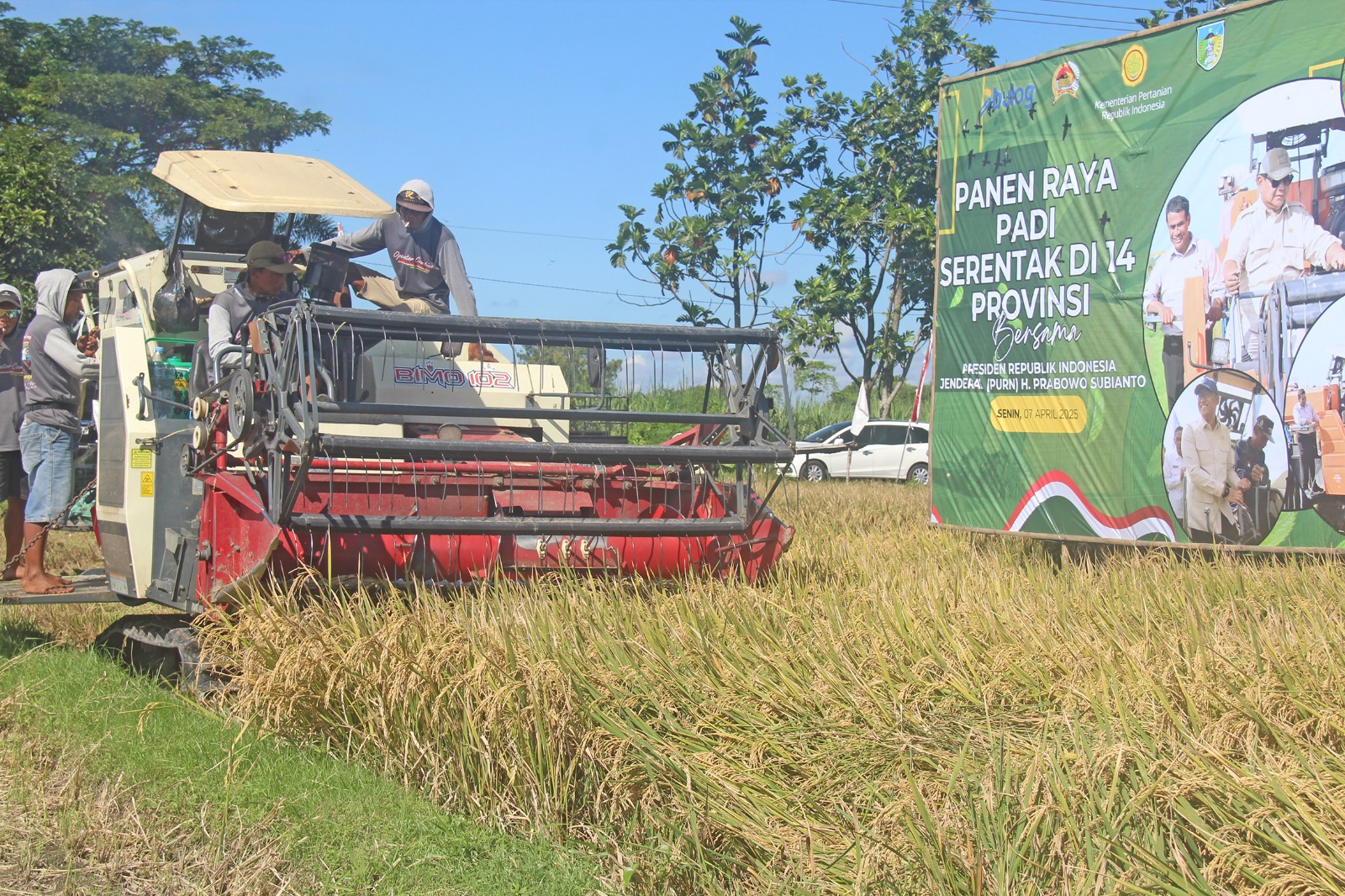 PANEN RAYA : Suasana panen raya serentak dengan menggunakan alsin pasca-panen yang berlangsung di Desa Nambaan, Kecamatan Ngasem, Kabupaten Kediri  kemarin.