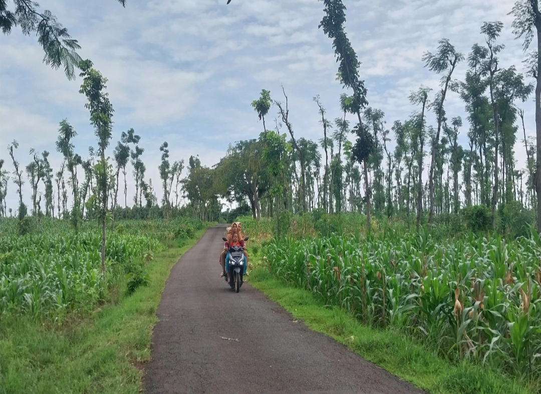Salah satu lokasi yang dilewati jalan tol di Tuban