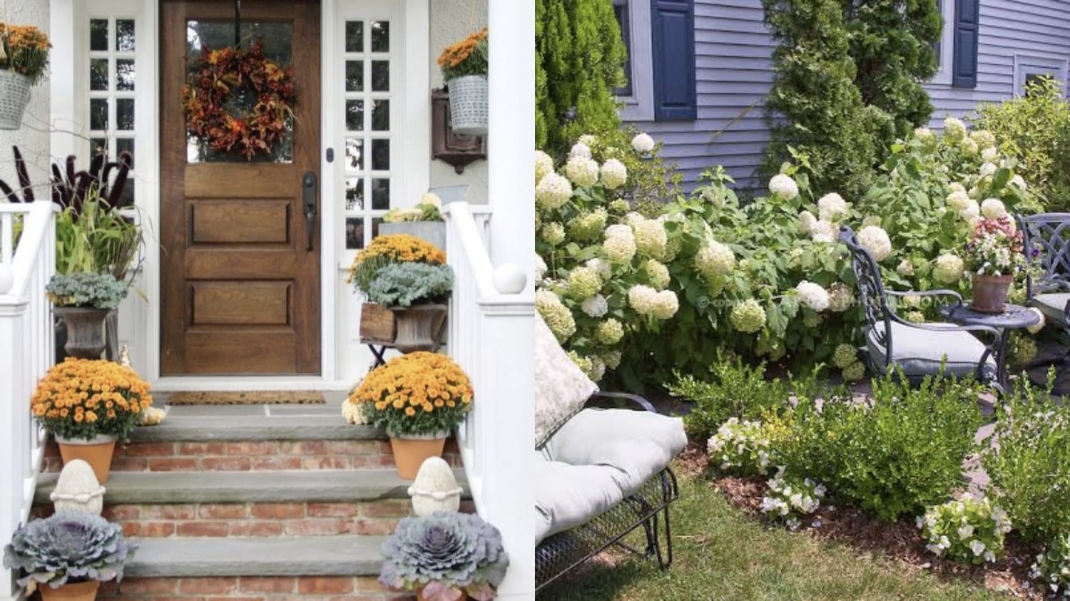 Lifestyle Foto: Pinterest Caption: Illustrasi American Garden