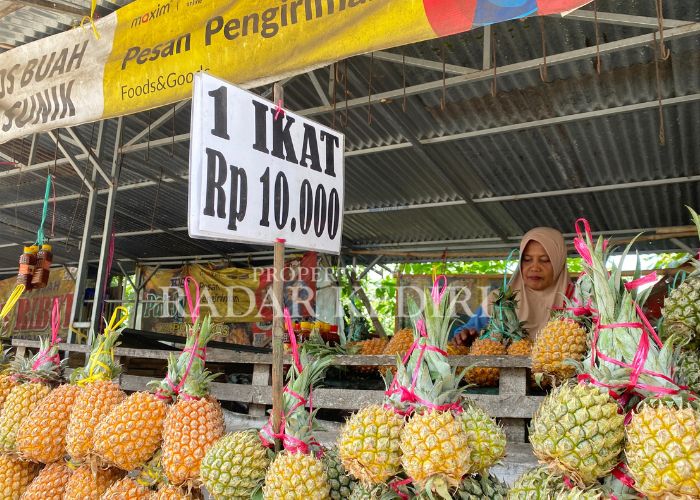 BERTAHAN: PEnjual nanas Kelud menunggu pelanggan yang kian sepi.