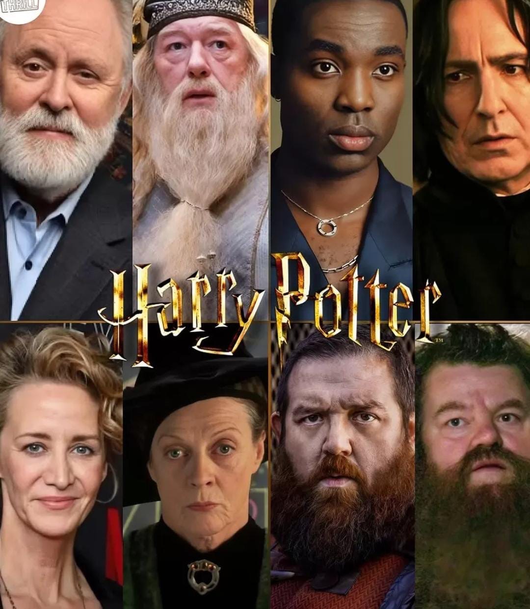 Pemeran Serial Harry Potter