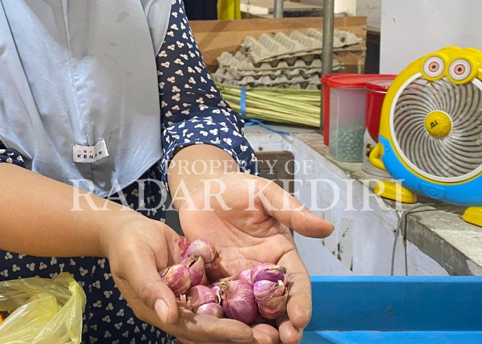 NAIK TERUS: Harga bawang merah semakin tak terbendung.