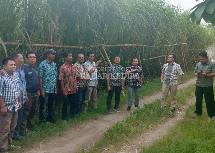 Karyawan PG Pesantren Baru aktif menyiapkan bahan baku tebu (BBT) untuk musim giling 2025.