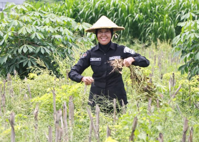 KARTINI MASA KINI: AKP Sriati aktif turun ke bawah saat berada di lahan pertanian membantu petani.
