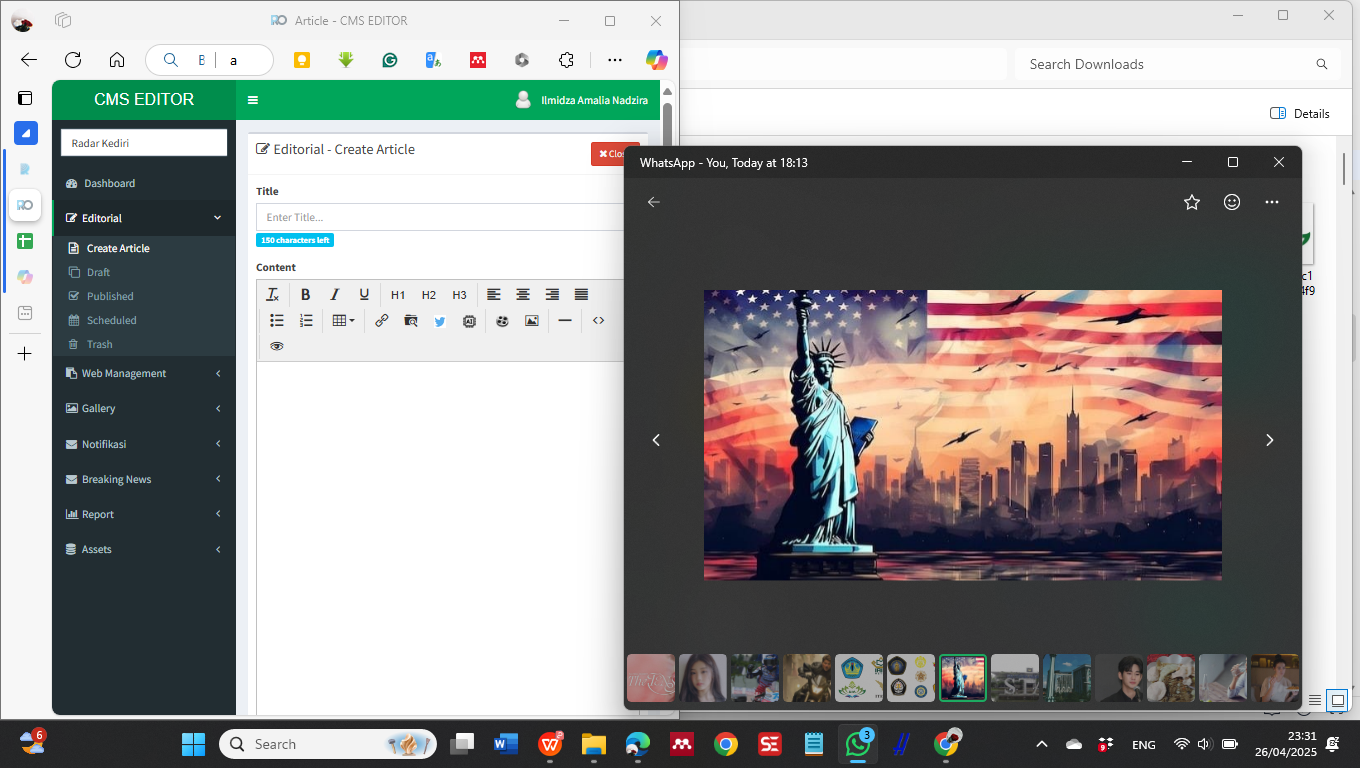 Ilustrasi Amerika Serikat
