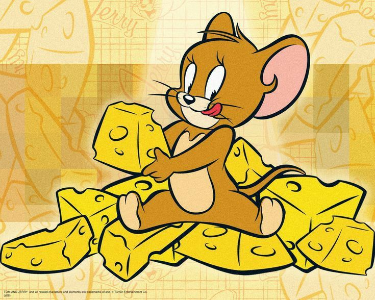 Inilah Alasan Mengapa Tikus Digambarkan Menyukai Keju dalam Kartun