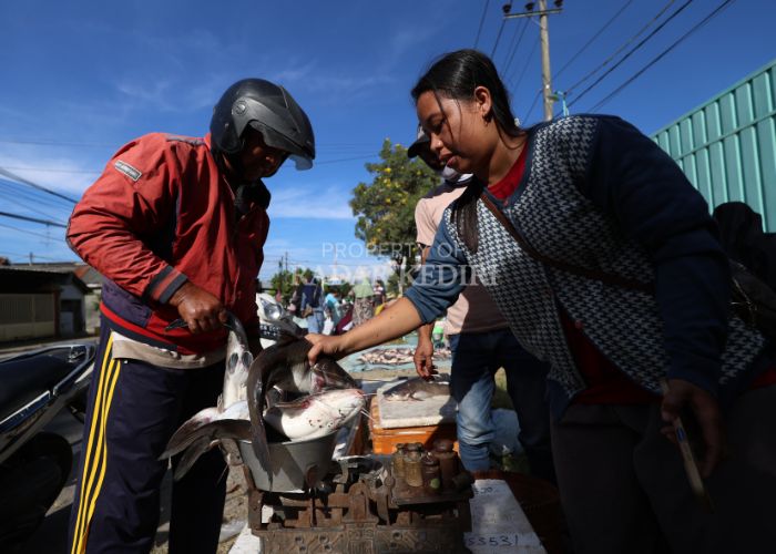 Warga berjualan ikan hasil pladu di sepanjang jalan raya Kediri-Kertosono masuk Desa Gampeng, Kecamatan Gampengrejo.