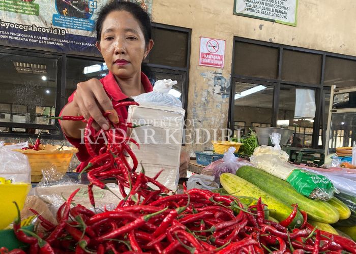 ANJLOK LAGI: Seorang pedagang cabai di Pasar Pahing menunggu pelanggan sambil memeriksa dagangannya.
