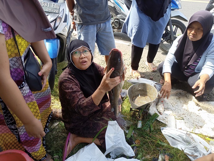 Salah satu pedagang ikan saat pladu meraup jutaan rupiah.