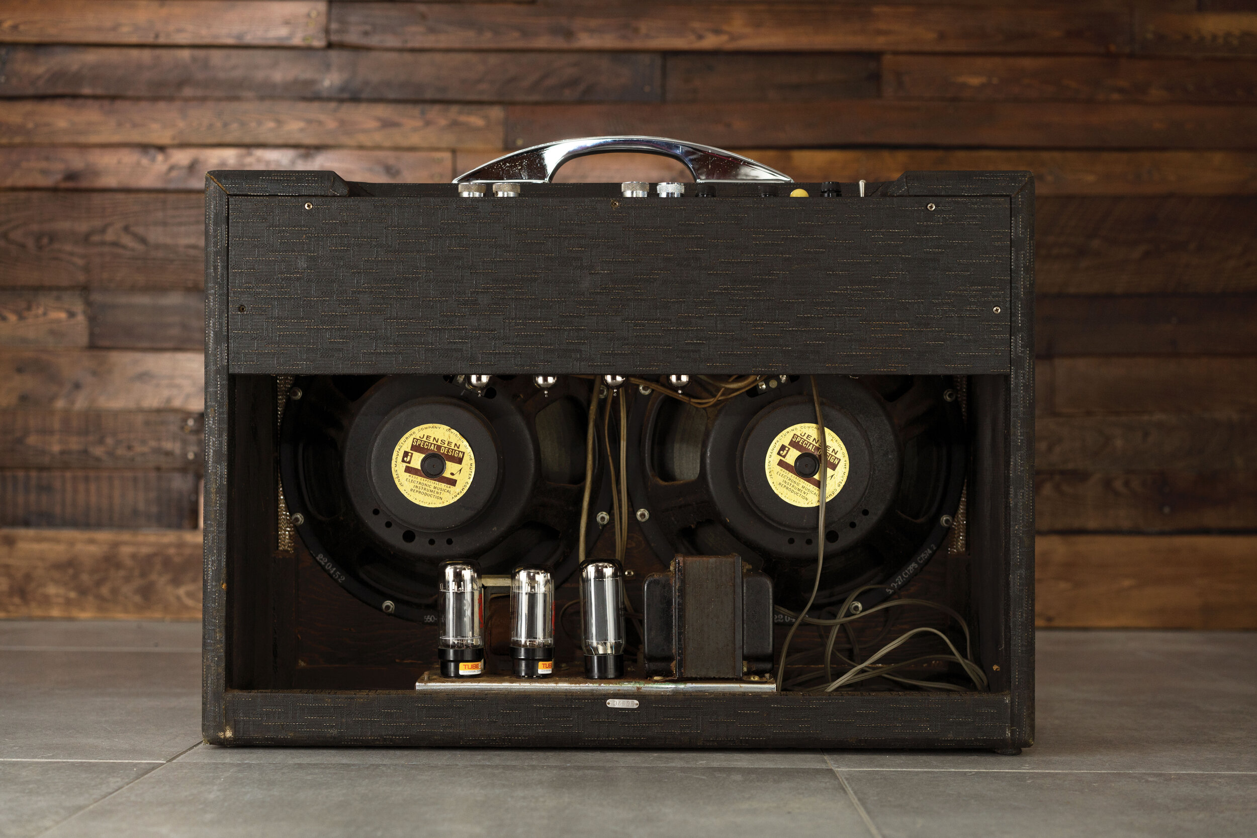 Ilustrasi Speaker dan Amplifier (Tropical Fish)