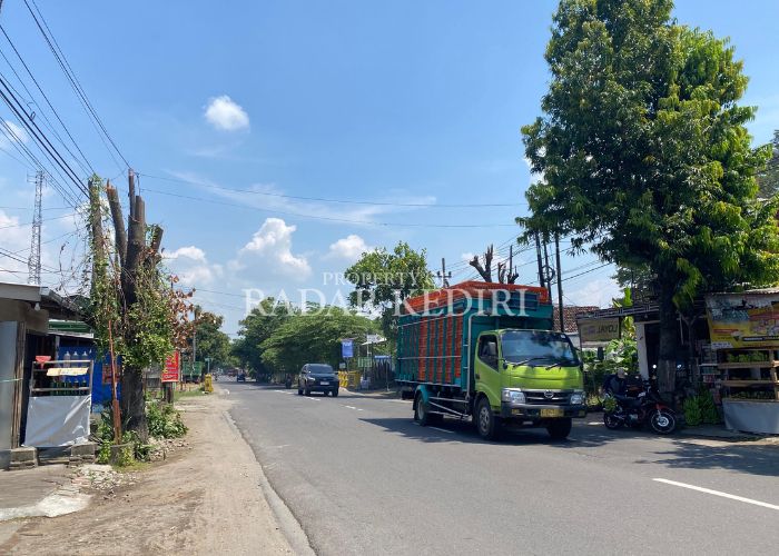 TERANG: Pohon di tepi jalan yang sebelumnya rimbun telah dipangkas.