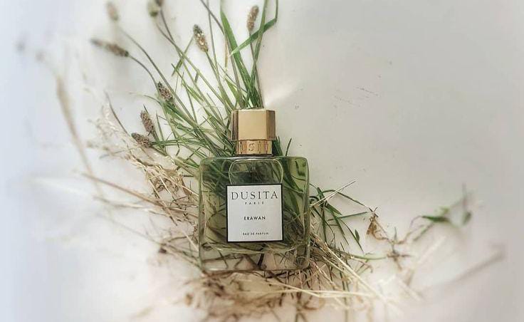 Inilah Pengertian Drydown dalam Dunia Parfum