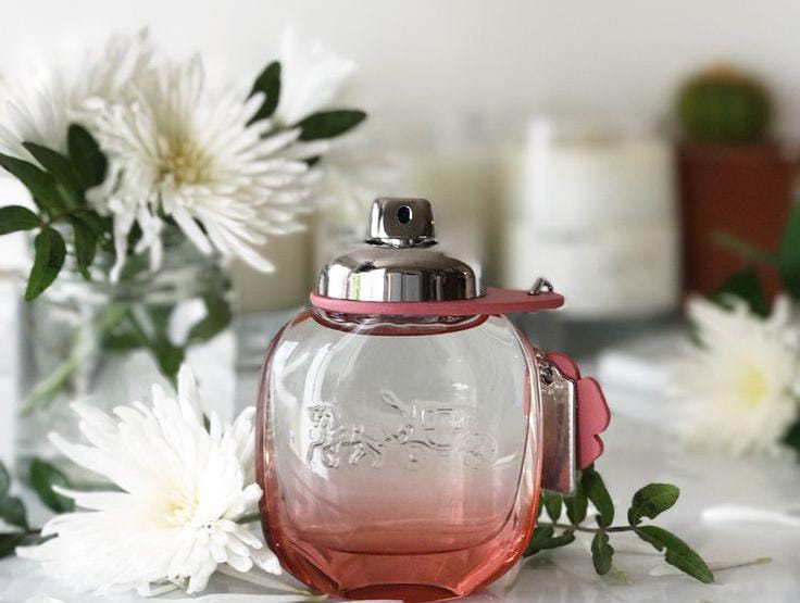 Inilah Beberapa Jenis Aroma yang Sering Ditemukan di Parfum