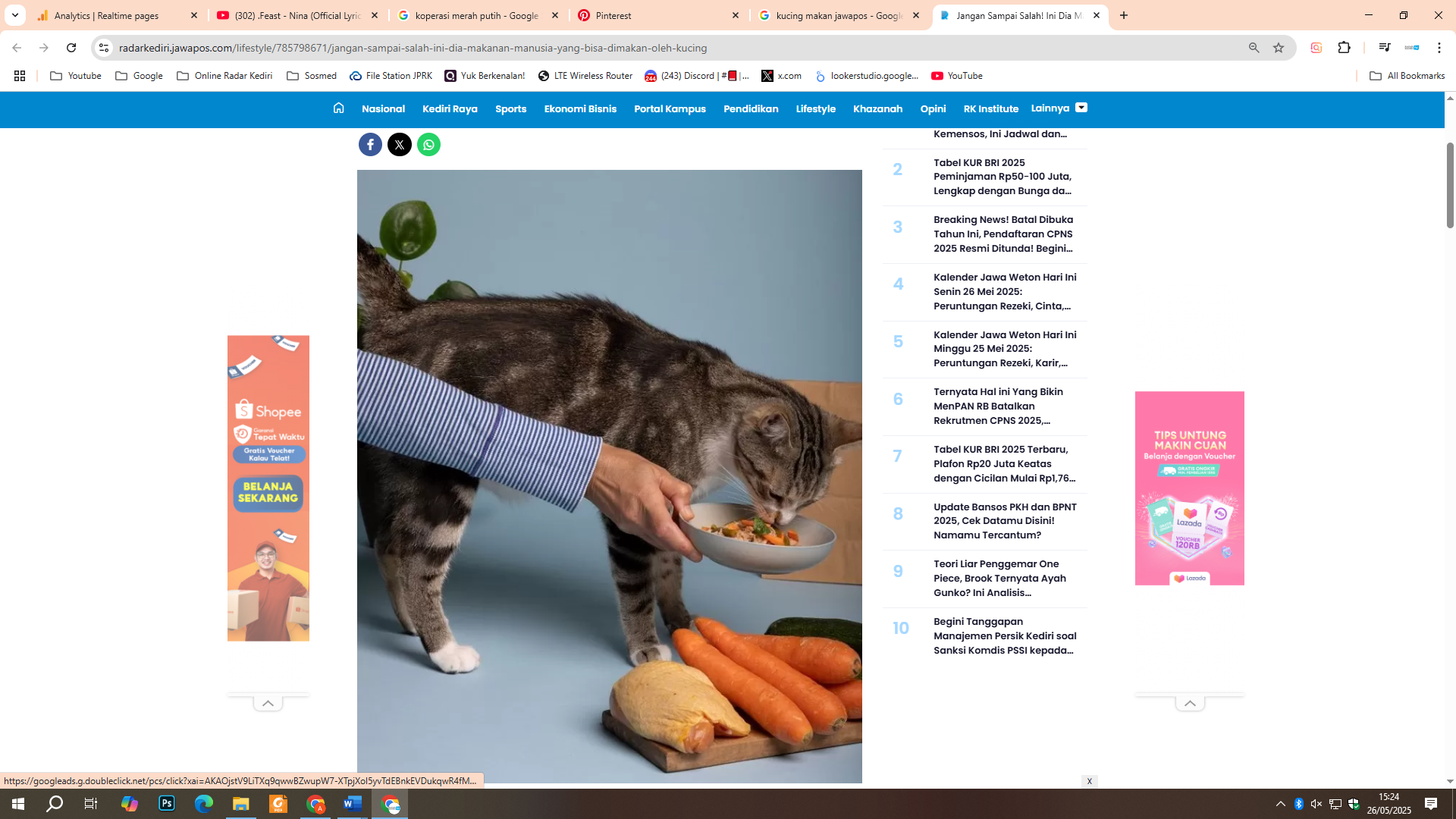 cara agar Kucing mau makan