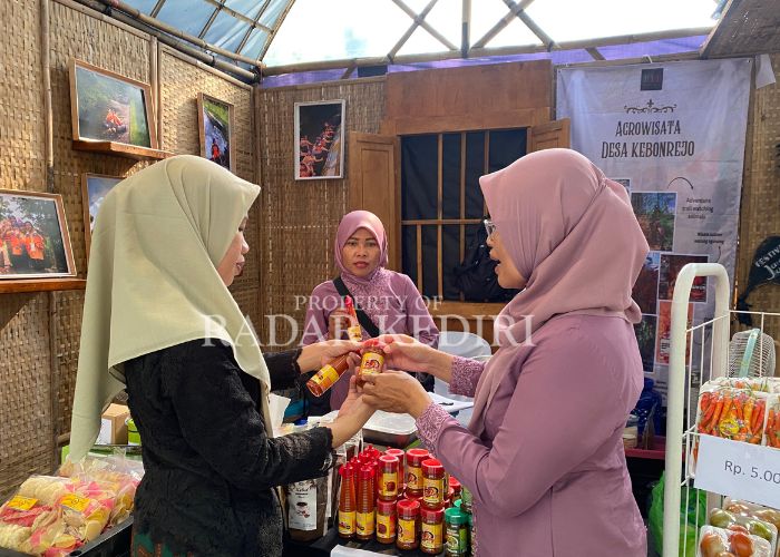 LARIS: Pengunjung melihat produk UMKM Desa Kebonrejo di stan milik disparbud.