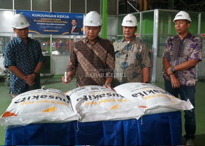 MONITORING: Dirut PT SGN Mahmudi (tengah) didampingi Kadiv Quality Assurance Erwin Budianto, GM PG Pesantren Baru Jarot Rudi Wardoyo, dan GM MKSO Kebun Dhoho Sri Pratomo.