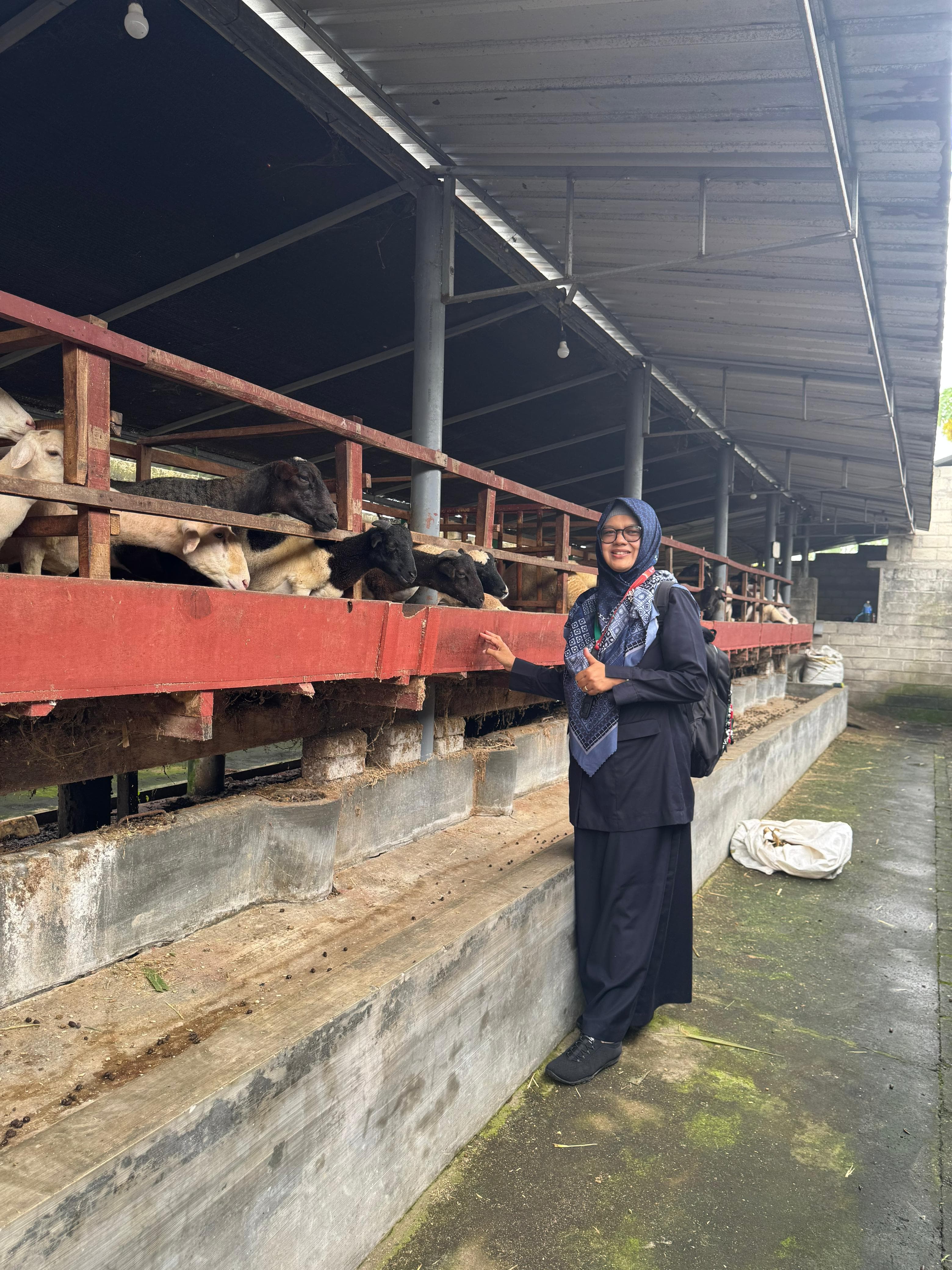 Anggota DPRD Kabupaten Kediri Reni Ramawati saat sidak hewan kurban, Senin (2/6/2025).