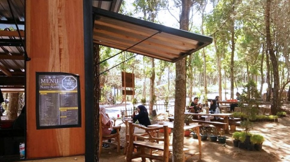 Hutan Pinus Plapar (foto: suarajatim)